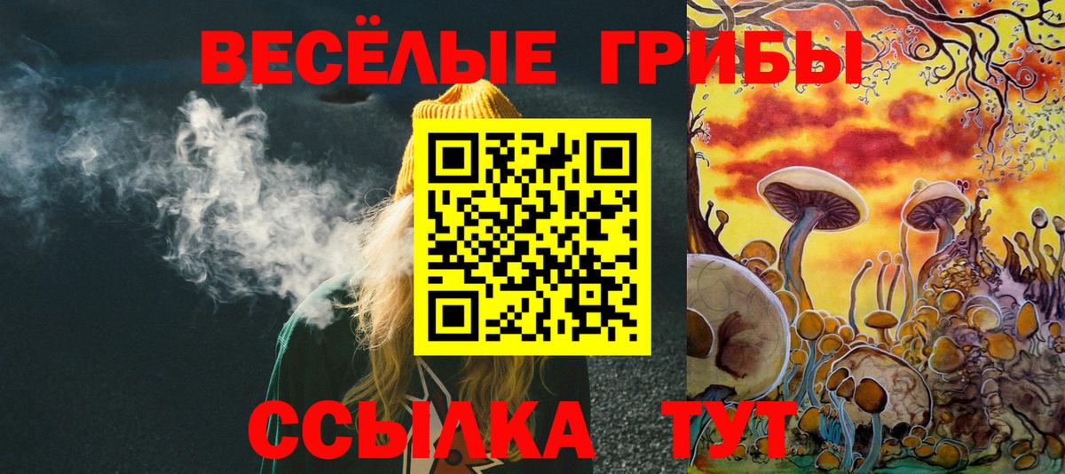 Псилоцибиновые грибы прущие грибы  купить наркоту  Тамбов  Вход с VPN  Галлюциногенные грибы GOLDEN TEACHER 
